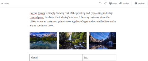 Gutenberg editor - What you see is what you get